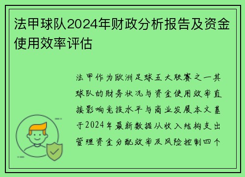 法甲球队2024年财政分析报告及资金使用效率评估